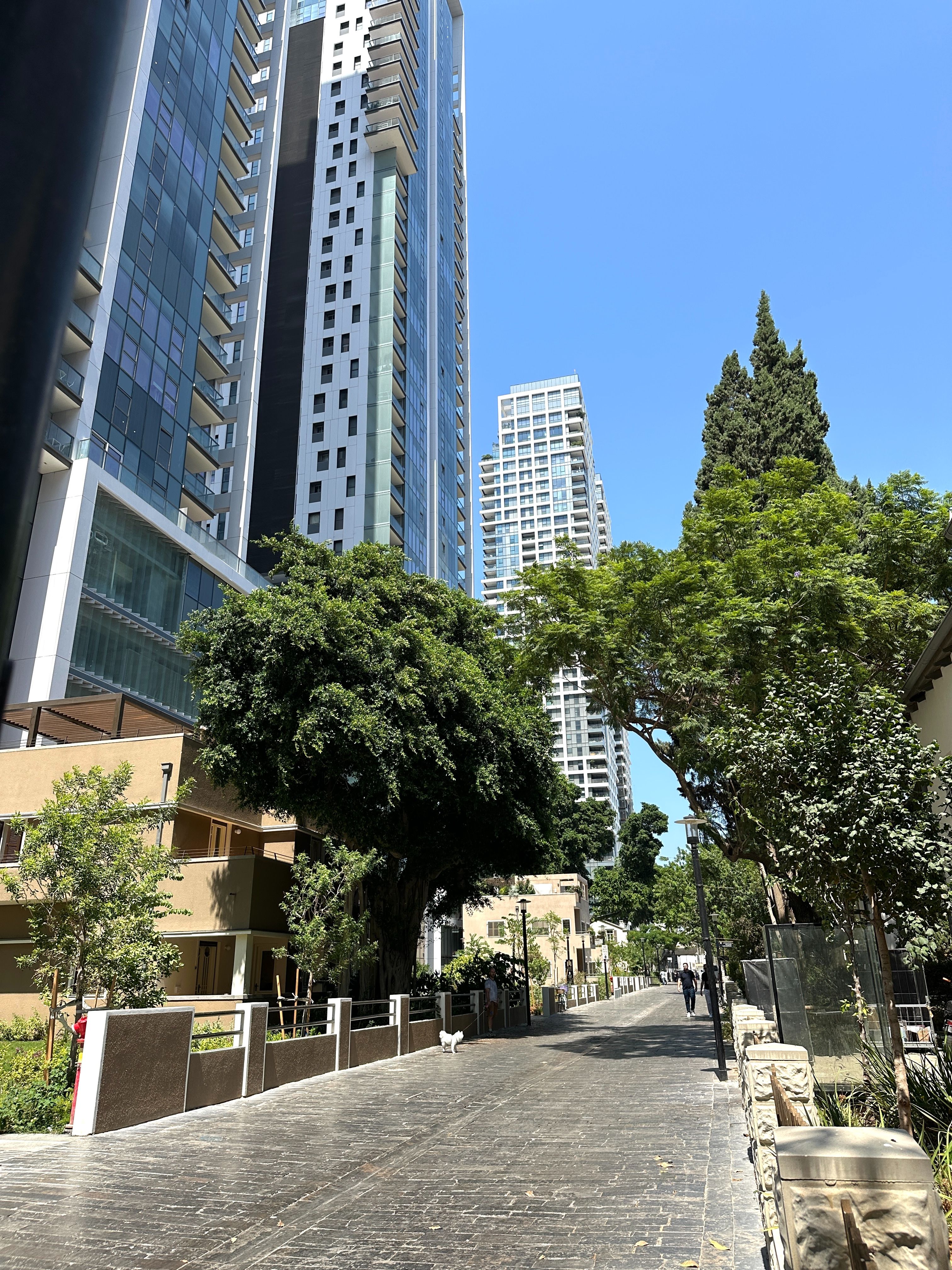 מהסמארטפון שלי